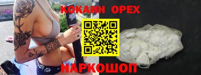 шишки Изобильный