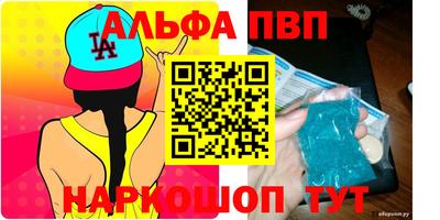 шишки Изобильный