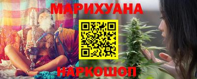 шишки Изобильный
