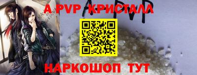 шишки Изобильный