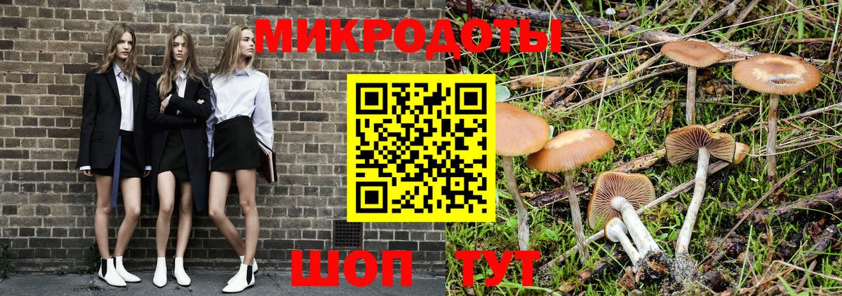Долгопрудный  Псилоцибиновые грибы MAGIC MUSHROOMS  Вход с VPN  Псилоцибиновые грибы мицелий 